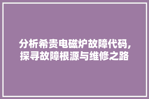 分析希贵电磁炉故障代码,探寻故障根源与维修之路