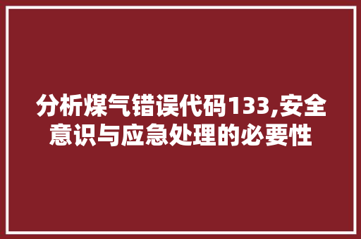 分析煤气错误代码133,安全意识与应急处理的必要性