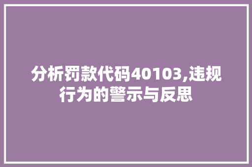 分析罚款代码40103,违规行为的警示与反思