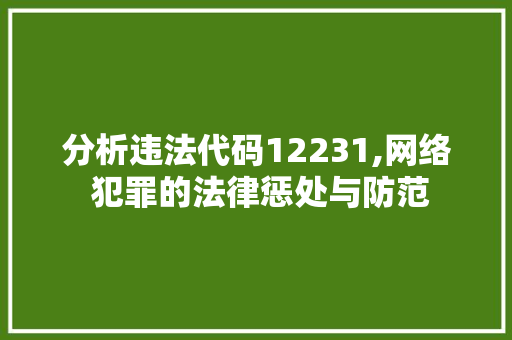 分析违法代码12231,网络 犯罪的法律惩处与防范