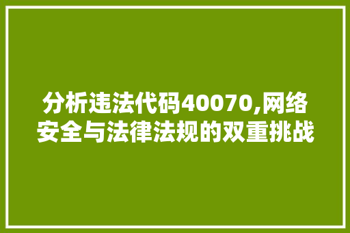 分析违法代码40070,网络安全与法律法规的双重挑战