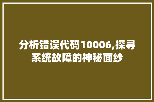 分析错误代码10006,探寻系统故障的神秘面纱