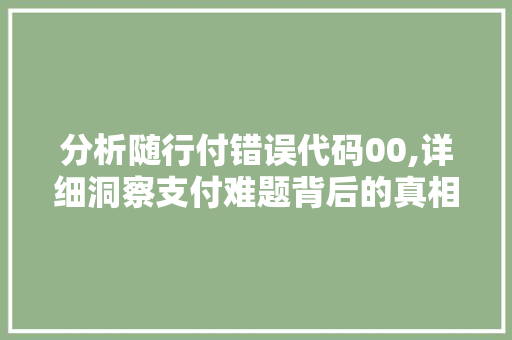 分析随行付错误代码00,详细洞察支付难题背后的真相