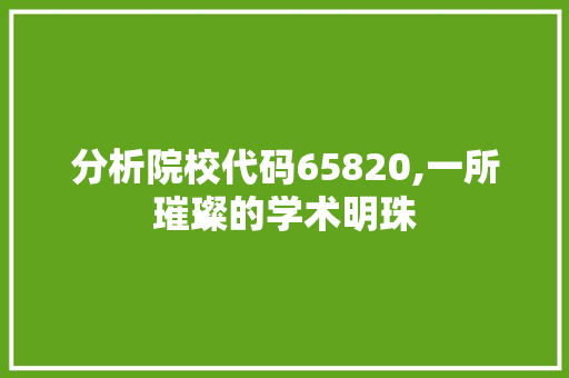 分析院校代码65820,一所璀璨的学术明珠