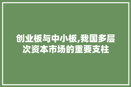 创业板与中小板,我国多层次资本市场的重要支柱