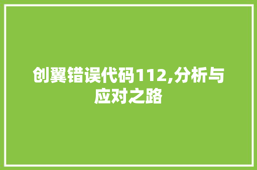 创翼错误代码112,分析与应对之路