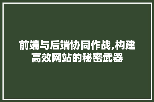 前端与后端协同作战,构建高效网站的秘密武器