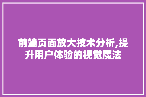 前端页面放大技术分析,提升用户体验的视觉魔法