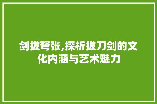 剑拔弩张,探析拔刀剑的文化内涵与艺术魅力