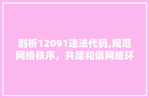 剖析12091违法代码,规范网络秩序，共建和谐网络环境