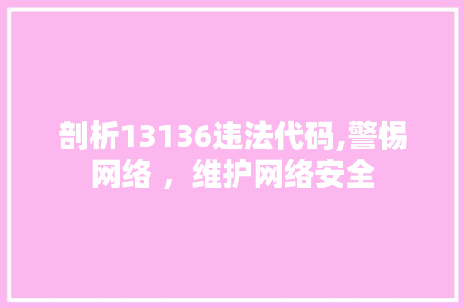 剖析13136违法代码,警惕网络 ，维护网络安全