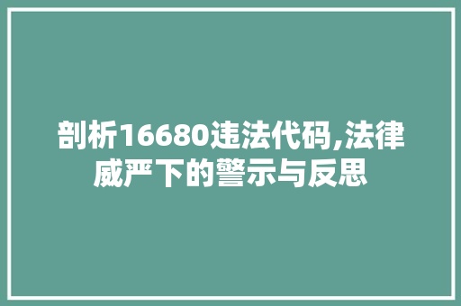 剖析16680违法代码,法律威严下的警示与反思