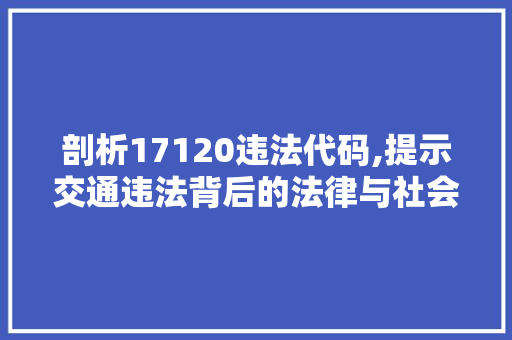 剖析17120违法代码,提示交通违法背后的法律与社会问题