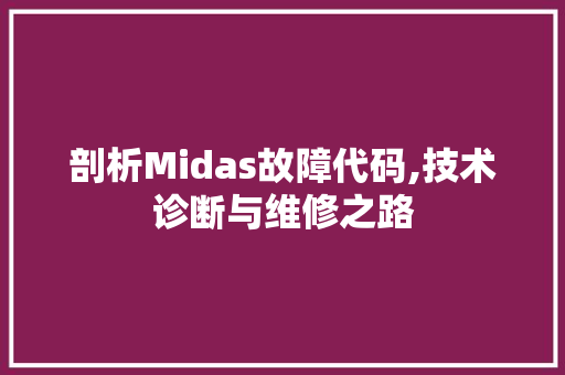 剖析Midas故障代码,技术诊断与维修之路