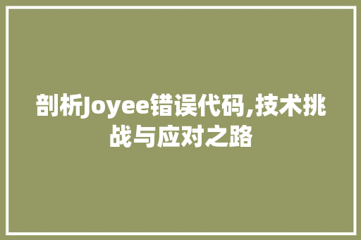 剖析Joyee错误代码,技术挑战与应对之路