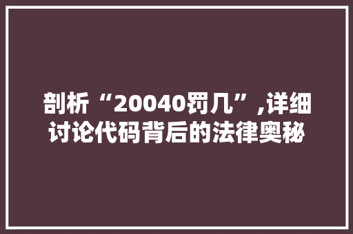 剖析“20040罚几”,详细讨论代码背后的法律奥秘