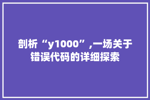 剖析“y1000”,一场关于错误代码的详细探索