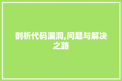 剖析代码漏洞,问题与解决之路