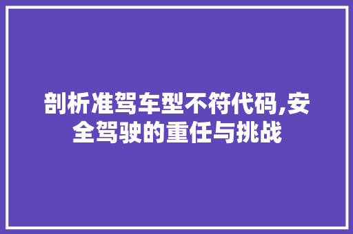 剖析准驾车型不符代码,安全驾驶的重任与挑战