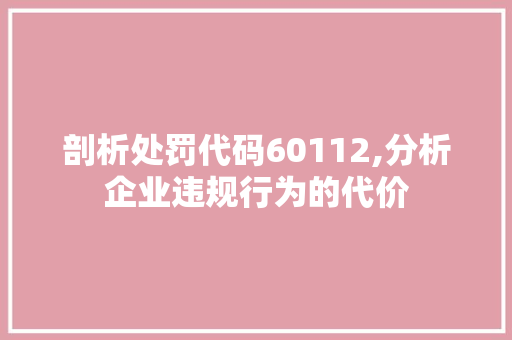 剖析处罚代码60112,分析企业违规行为的代价