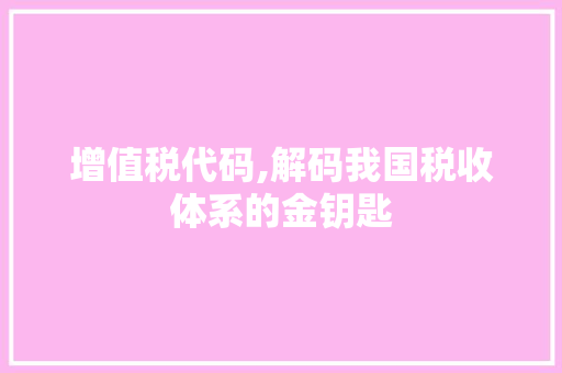 增值税代码,解码我国税收体系的金钥匙