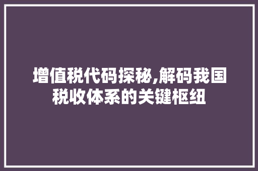 增值税代码探秘,解码我国税收体系的关键枢纽