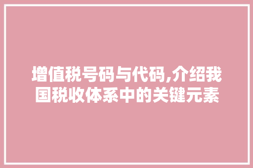 增值税号码与代码,介绍我国税收体系中的关键元素