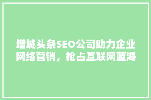 增城头条SEO公司助力企业网络营销，抢占互联网蓝海市场 CSS