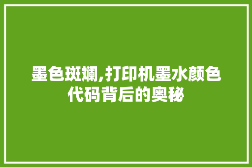 墨色斑斓,打印机墨水颜色代码背后的奥秘