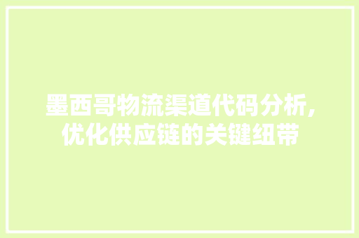 墨西哥物流渠道代码分析,优化供应链的关键纽带