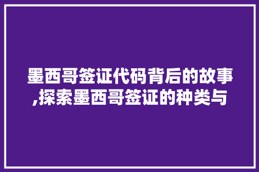 墨西哥签证代码背后的故事,探索墨西哥签证的种类与意义