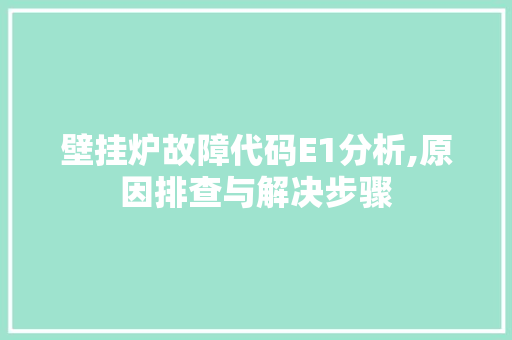 壁挂炉故障代码E1分析,原因排查与解决步骤