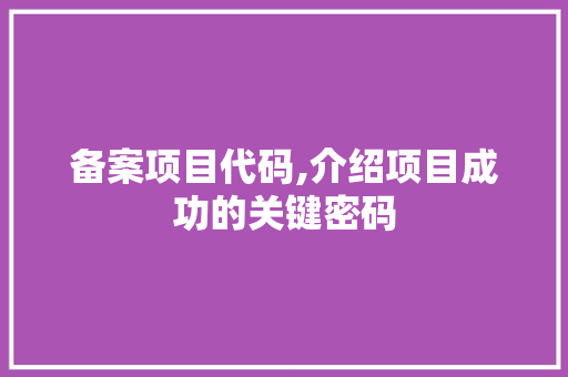 备案项目代码,介绍项目成功的关键密码