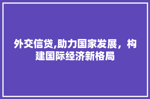 外交信贷,助力国家发展，构建国际经济新格局