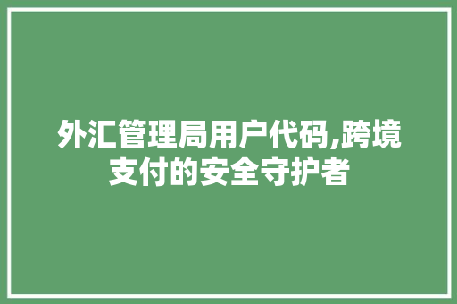 外汇管理局用户代码,跨境支付的安全守护者