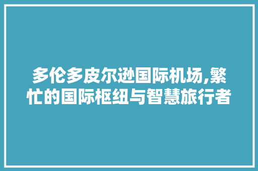 多伦多皮尔逊国际机场,繁忙的国际枢纽与智慧旅行者的乐园