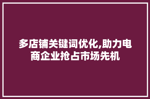 多店铺关键词优化,助力电商企业抢占市场先机