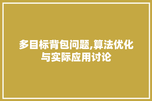 多目标背包问题,算法优化与实际应用讨论