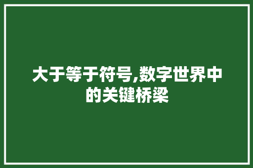 大于等于符号,数字世界中的关键桥梁