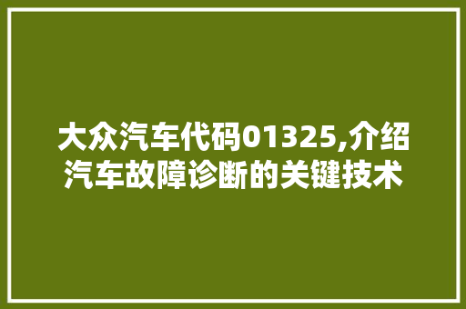 大众汽车代码01325,介绍汽车故障诊断的关键技术