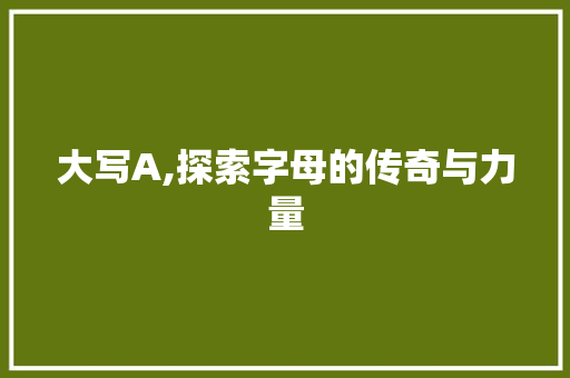 大写A,探索字母的传奇与力量