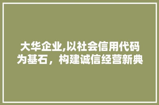 大华企业,以社会信用代码为基石，构建诚信经营新典范