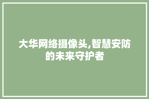 大华网络摄像头,智慧安防的未来守护者