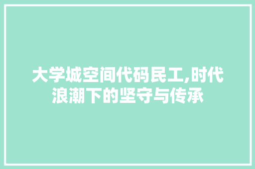 大学城空间代码民工,时代浪潮下的坚守与传承