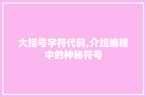 大括号字符代码,介绍编程中的神秘符号