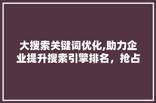 大搜索关键词优化,助力企业提升搜索引擎排名，抢占市场先机