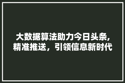 大数据算法助力今日头条,精准推送，引领信息新时代