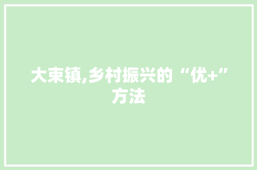 大束镇,乡村振兴的“优+”方法