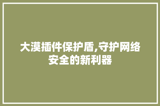 大漠插件保护盾,守护网络安全的新利器