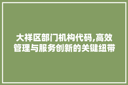 大祥区部门机构代码,高效管理与服务创新的关键纽带